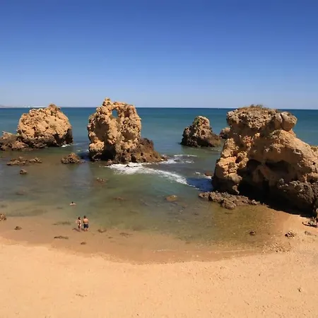 Superbe Paradis Dans Les Jardins De La Marina Αλμπουφέιρα