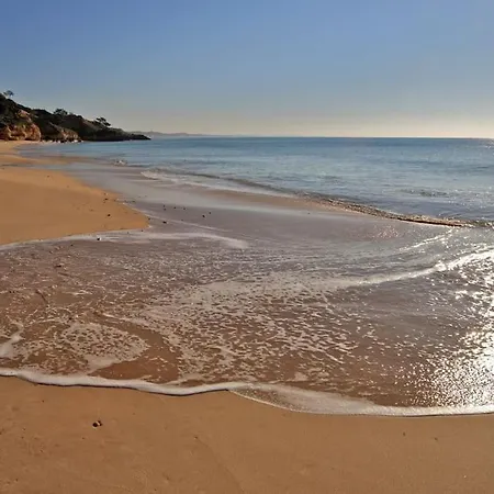 Superbe Paradis Dans Les Jardins De La Marina Apartament