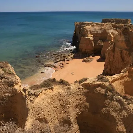 Superbe Paradis Dans Les Jardins De La Marina البوفيرا